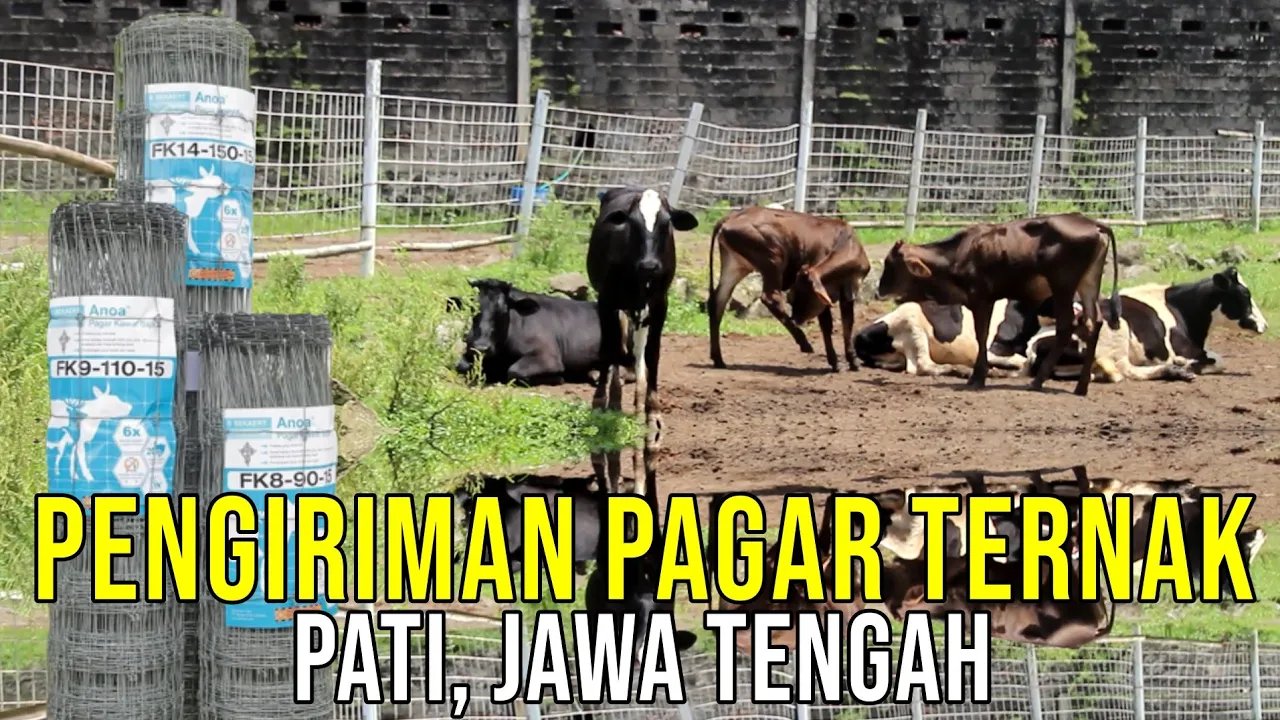 
                                 Pagar-Kandang-Ternak-Pati-Jawa-Tengah